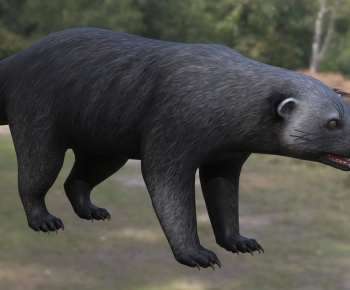 Modern Mammal-ID:688076025