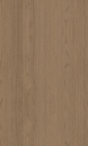 ModernWood Texture