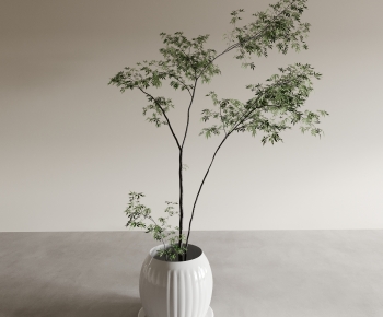 Modern Ground Green Plant Potted Plants-ID:807538038