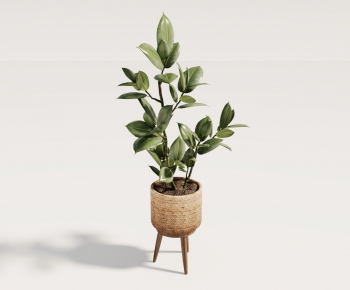 Wabi-sabi Style Ground Green Plant Potted Plants-ID:624638088