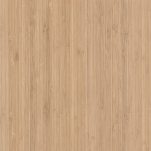 ModernWood Texture