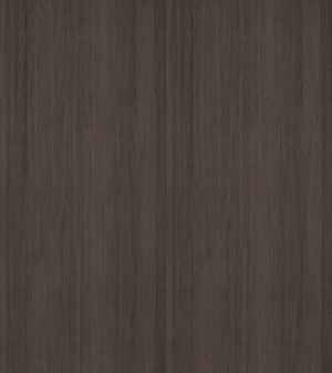 ModernWood Texture