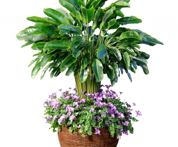 Modern Potted Green Plant-ID:208095075