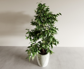 Modern Ground Green Plant Potted Plants-ID:217926984