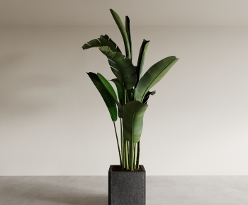 Modern Ground Green Plant Potted Plants-ID:260543111