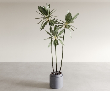 Modern Ground Green Plant Potted Plants-ID:818113096