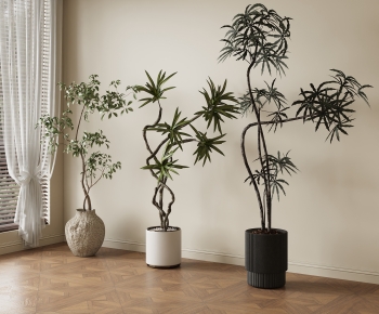 Modern Ground Green Plant Potted Plants-ID:418668034