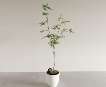 Modern Ground Green Plant Potted Plants-ID:860668908