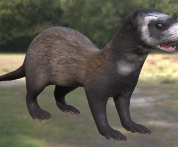 Modern Mammal-ID:909121037