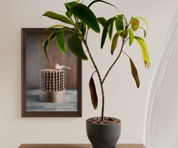 Modern Potted Green Plant-ID:381845958