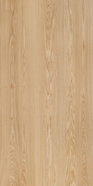 Wood Texture