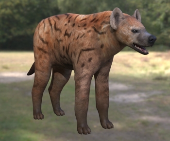 Modern Mammal-ID:306580141