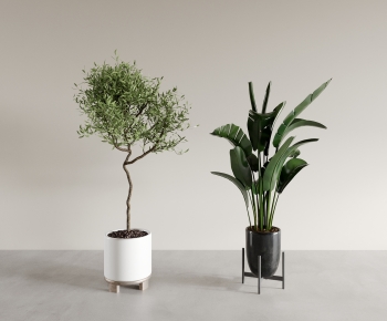 Modern Potted Green Plant-ID:427023898