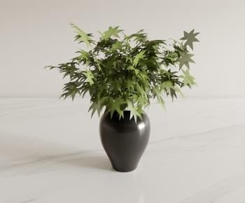 Modern Potted Green Plant-ID:998859426