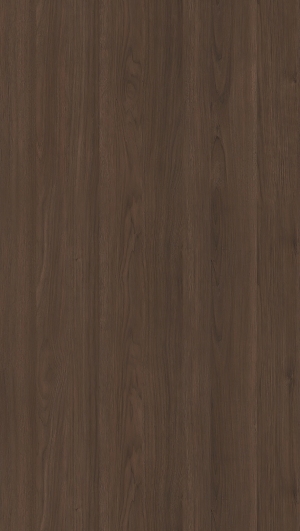 ModernWood Texture