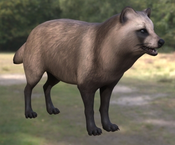 Modern Mammal-ID:802429916