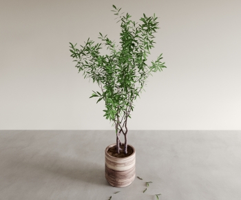 Modern Potted Green Plant-ID:707319975