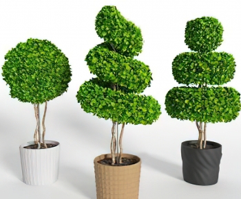 Modern Ground Green Plant Potted Plants-ID:920400637