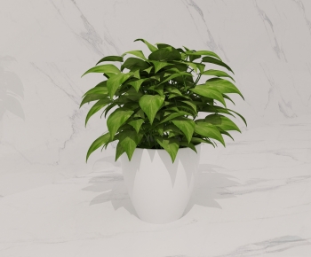 Modern Desktop Plant-ID:330363994