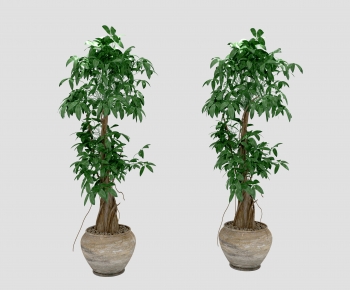 Modern Ground Green Plant Potted Plants-ID:928452976