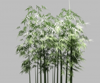 Modern Bamboo-ID:853991991