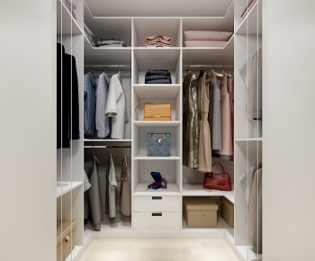 Modern Clothes Storage Area-ID:952311042