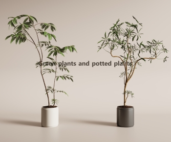 Modern Ground Green Plant Potted Plants-ID:507932908