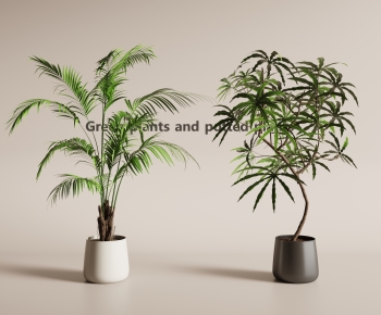 Modern Ground Green Plant Potted Plants-ID:720799925