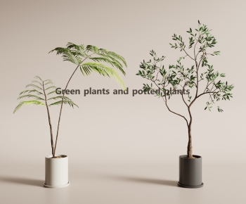 Modern Ground Green Plant Potted Plants-ID:913752087