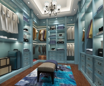 American Style Clothes Storage Area-ID:696131948