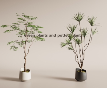 Modern Ground Green Plant Potted Plants-ID:419497011