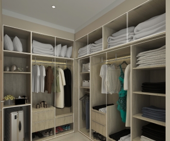 Modern Clothes Storage Area-ID:113352065