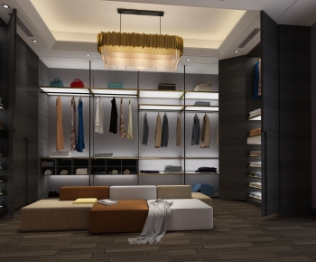 Modern Clothes Storage Area-ID:360316049