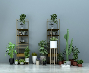 Modern Potted Green Plant-ID:500832083