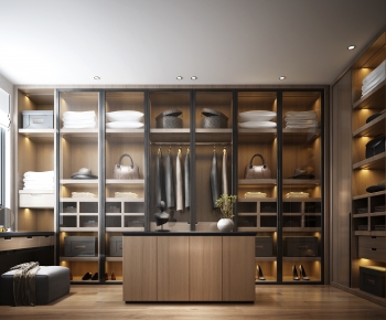 Modern Clothes Storage Area-ID:529542926