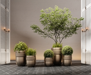 Modern Ground Green Plant Potted Plants-ID:191123961