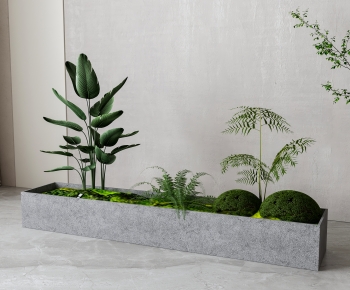 Modern Plant Landscaping-ID:898545037