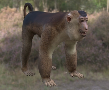 Modern Mammal-ID:131886011