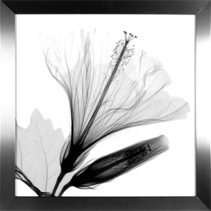 新中式水墨装饰画-ID:541470056
