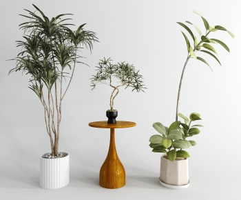 Modern Ground Green Plant Potted Plants-ID:210728882