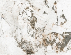 ModernMarble Tiles