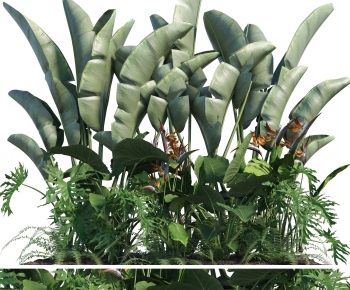 Modern Plant Pile-ID:898354055