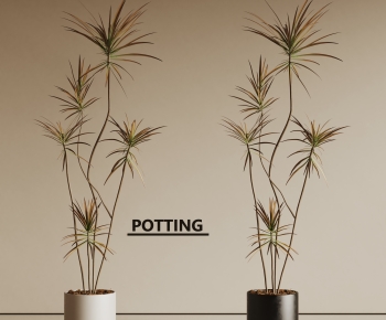 Modern Ground Green Plant Potted Plants-ID:257878076