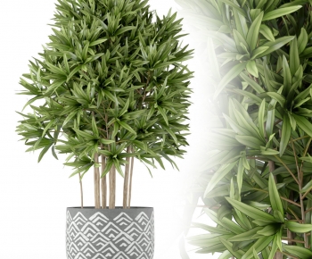 Modern Ground Green Plant Potted Plants-ID:259474992