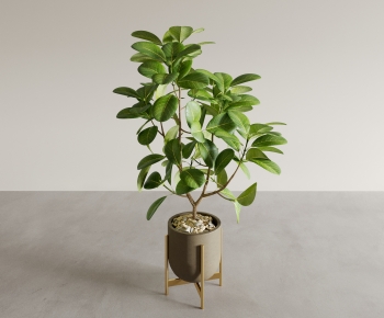 Modern Potted Green Plant-ID:519917969