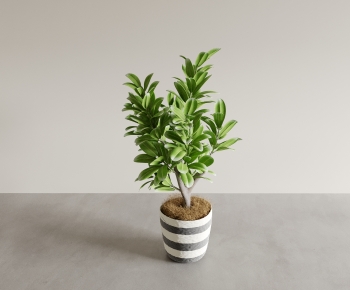 Modern Ground Green Plant Potted Plants-ID:856897129