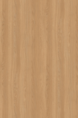 ModernWood Texture