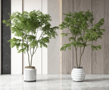 Modern Ground Green Plant Potted Plants-ID:914555076