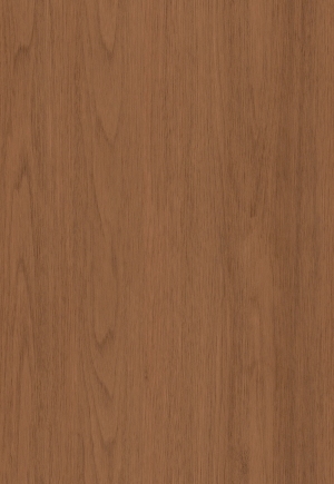 ModernWood Texture