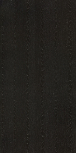 ModernWood Texture